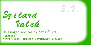 szilard valek business card